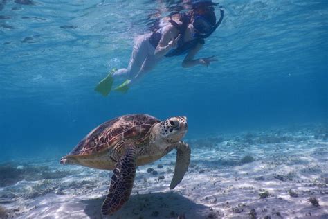 慶良間諸島 行き方：海の向こうの冒険と文化の交差点